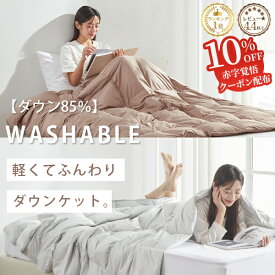 ＼SS応援10%OFF！／2枚目半額 ダウンケット シングル 羽毛布団 夏用 羽毛肌掛け布団 夏布団 洗える羽毛布団 羽毛布団 薄手 夏布団 贅沢な ダウン85%~90％ 掛け布団 夏用 ダウンケット シングル 肌布団 夏ふとん 羽毛肌布団 薄手 夏用 肌掛け布団 肌掛布団 肌掛け