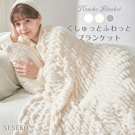 【3点目50%offクーポン】 訳あり くしゅくしゅ毛布 毛布 シングル 洗える 冬用 もうふ ブランケット シングル もこもこ おしゃれ かわいい ひざ掛け 膝掛け 毛布 暖かい 冬 軽くて 暖かい 毛布 冬用 ふわとろ 毛布 軽量 掛け毛布 オールシーズン NENEKO