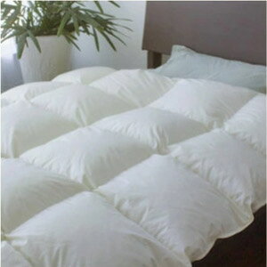 yl!50%OFFN[|z Hѕzc VO |zc ґzCg_E93 呝1.25kg Hъ|zc VOO ~p H |zc HтӂƂ Hъ|zc HтԂƂ HтӂƂ 