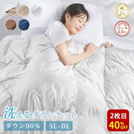 【夏物在庫一掃!驚きの1200円クーポン】 ダウンケット 夏用 ダウン90％ 羽毛布団 夏用 夏布団 掛け布団 夏用 掛け布団 夏 夏用羽毛布団 ダウンケット シングル 夏用掛け布団 羽毛肌掛け布団 肌掛け布団 羽毛 ダウンケット NENEKO