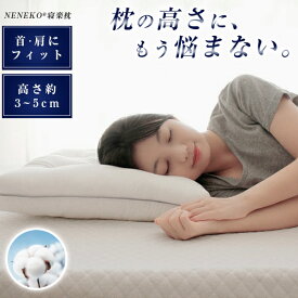 【全品3%OFFクーポン】 枕 肩こり 首こり 枕 低め 柔らか ストレートネック まくら いびき防止 枕 洗える まくら 低め 安眠枕 健康まくら 健康枕 ストレートネック まくら 43*63cm マクラ ピロー 母の日 父の日 敬老の日 プレゼント ギフト いびき枕 NENEKO