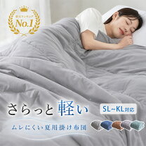 楽天市場】掛け布団 クイーンの通販