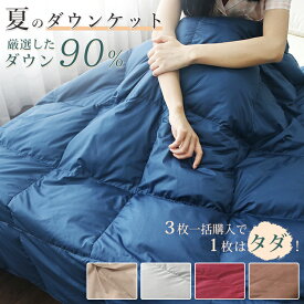 3枚一括購入で1枚はタダ！ダウンケット 夏布団 贅沢なダウン90％ 羽毛布団 夏用 羽毛肌掛け布団 夏掛け布団 夏用 掛け布団 肌掛け布団 夏 羽毛布団 洗える ダウンケット シングル 掛け布団 夏用 肌掛 掛けふとん 羽毛肌ふとん