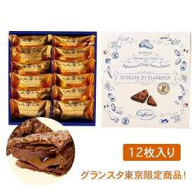 クリスマス　東京ジャンドゥーヤチョコパイ12個入 送料無料 お菓子 スイーツ 洋菓子 ギフト プレゼント 洋菓子 ケーキ 東京お土産 お土産 贈り物 お返し スイーツ お菓子 プチギフト