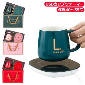 ワイン ウォーマー USB カップウォーマー マグカップセット 保温コースター 保温 40〜55℃ コーヒー 清酒 お茶 飲み物保温 ギフト包装 マグ