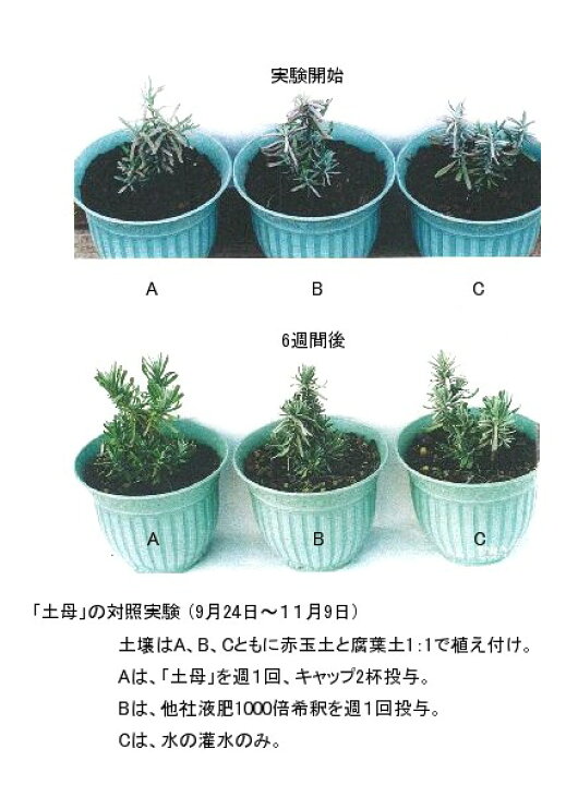 楽天市場】植物活性剤 土母 (どうも) 1リットル 1本 : e-フラワー 楽天市場】植物活性剤 土母 (どうも) 1リットル 1本 : e-フラワー