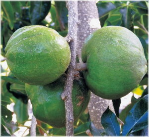 zCgT|e@Zbp[iRj@euiZNV@5@1{i󒍔j