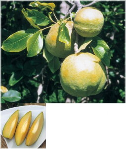 zCgT|e@Zbp[iRj@[N@5@1{i󒍔j