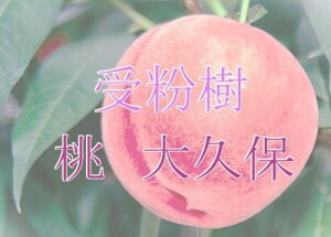 y|Cg20{IIIz@vہi̎󕲎j@ږؕc@1{