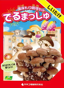 しいたけ 種の人気商品 通販 価格比較 価格 Com