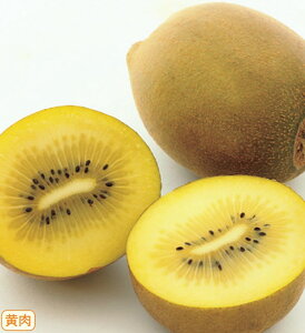 LECt[c@S[hiPVPj@ږؕc@1{