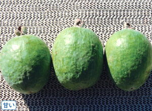 tFCWA@T(RjAglbg@4@1{i_ij