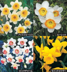 XCZ@t炫@4@14cm@4e3@v12