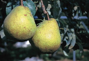 miV@o[hiPVPj@ږؕc@1{