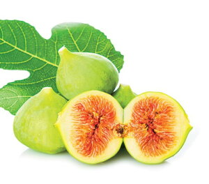 C`WN@S[ht@CK[@41N50cmO@1{