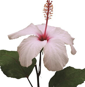 nCrXJX@sNA[mbeBAkX@3|bgc@1{