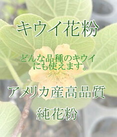 ☆☆☆速達で送ります。☆☆☆　人工授粉用キウイ　花粉　1袋
