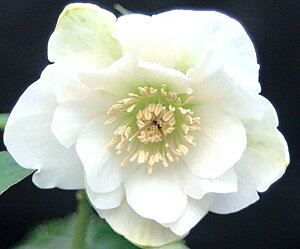 NX}X[Y@cz@_un@2.5|bg@1