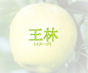 y|Cg20{IIIzS@сiS̎j@ږؕc@1{