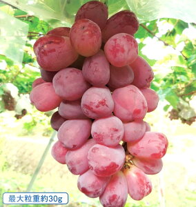 uhE@oCIbgLOi_ij@ږؕc@1{