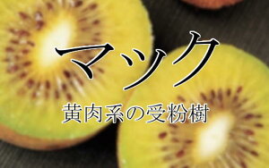 LECt[c@}bNinpY؁j@ږؕc@1{iח\F2025N11{j