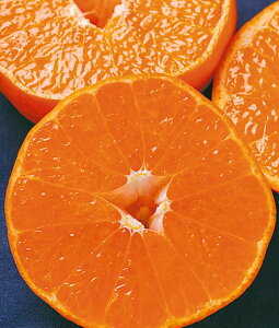 JLc@ƂiPVPj@ږؕc@1{