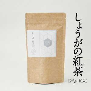 傤̍g JCYt@[  eI eB[obO h  傤 VEK  Y 挧Y  ₦  ACXeB[ zbgeB[ 2.5gx10