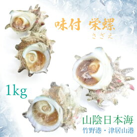 味付 さざえ 1kg 約8～14個 温めるだけ 山陰日本海 地元旅館 特製ダシ 送料無料 冷凍便 [TKI] サザエ 味付け 栄螺 壺焼き つぼやき バーベキュー BBQ 国産 新鮮 ボイル 茹で ゆで 水揚げ後に即加工 竹野港 津居山港