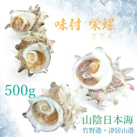 味付 さざえ 500g 約4～7個 温めるだけ 山陰日本海 地元旅館 特製ダシ 送料無料 冷凍便 [TKI] サザエ 味付け 栄螺 壺焼き つぼやき バーベキュー BBQ 国産 新鮮 ボイル 茹で ゆで 水揚げ後に即加工 竹野港 津居山港