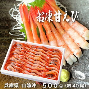 D Â 500g 40 Ɍk RA{C  Ⓚ [TKI] VN hg il^ Ă VՂ tC Jpb` DⓀ ÃGr AJGr Mtg 蕨 j a Ԃ