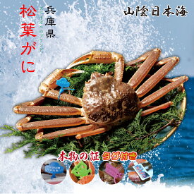 厳選 活け 松葉がに タグ付き 1kg前後 1匹 【送料無料】【冷蔵便】[国産/兵庫県北部/本ずわいがに/生ズワイガニ/姿/活松葉ガニ/松葉蟹/ギフト/お歳暮/お祝い/贈り物/贈答/津居山港/柴山港/香住港/おいしい/美味しい]　[TKI]