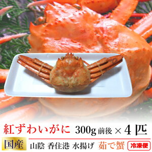 Y 䥂 g킢 p 300gO 4t v1.2kg Ⓚ  [TKI] {C RA Z`g xjYCKj I   {C 䥂ŃKj VN Z | Ö W[V[  ^OȂ