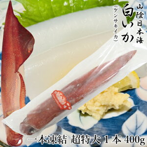 RA   {  1{ 400g Ɍk PTLCJ VN oⓀ  [TKI] CJ hg  il^ ĂCJ G CJ  Ⓚ VCJ CJ ۂ CN A