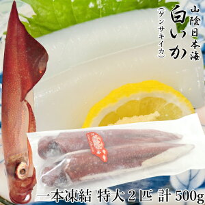 RA   {  2{ v 500g Ɍk PTLCJ VN oⓀ  [TKI] CJ hg  il^ ĂCJ G CJ  Ⓚ VCJ CJ ۂ CN A