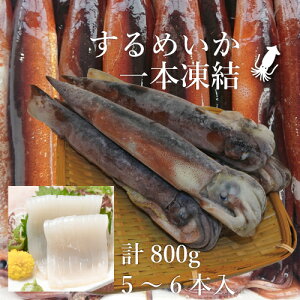 ߂ { 800g 5`6{ Ɍ RA{C ËR` Ⓚ [TKI] Ⓚ VN  hgɂł ĂCJ G  o[xL[ XCJ }CJ ^G oⓀ