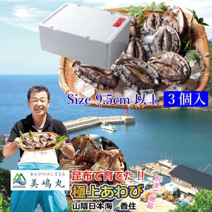 楽天市場 ギフト 活あわび ３個セット 香住育ち 贈り物 お歳暮 お中元 お祝い プレゼント お誕生日 ご懐妊祝い ご出産祝い のし対応 美嶋丸 着日時間帯指定可 冷蔵便 Msm たじま海山マーケット