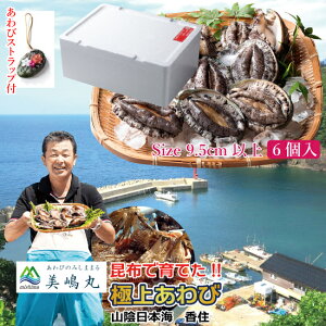 yXgbvtz Ar 6Zbg Ɍ RA Z炿 ①  [MSM] 󃌃XgŏЉ CN hg o[xL[ 蕨 j a Mtg   