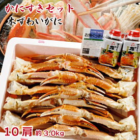 生本ズワイガニ 2L 10肩 約3kg かにすきセット だし付 レシピ付き　良質な味と身入り　【冷凍便】【送料無料】[船上凍結/ワンフローズン/厳選/ずわいがに/焼きガニ/カニ天/5匹/蟹足5杯分/海鮮/風味良し/身詰まり良し/質良し/但馬海産市場]　[TKI]
