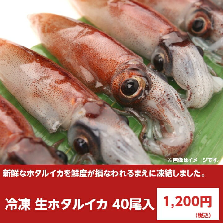 楽天市場 冷凍 生ホタルイカ お刺身用 40尾入り 蛍烏賊 ほたるいか さしみ 海産王子