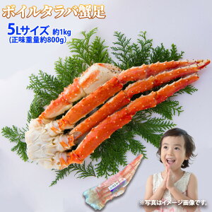 Ε {C^oKj r 5LTCY 1 1kg (dʖ800g) VN  Jj I   v[g NNn