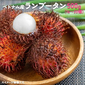 冷凍 ランブータン 500g ベトナム産 フルーツ 高糖度