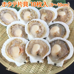 XIXX z^eЊL 9`10cm 10  ق  kt BBQ o[xL[ ԏĂ o^[ݖ X`  kC [