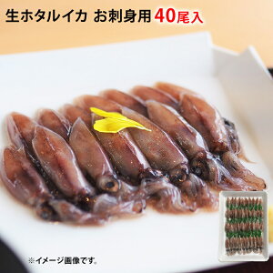 Ⓚ z^CJ hgp 40 uG ق邢 