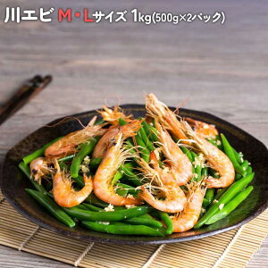 Gr MTCY LTCY 1kg(500g×2P) JGr CV 킦 CV  r[ ܂ g p Ɩp I[KjbN