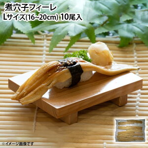 όqtB[ L 16`20cmTCY 1pbN10    ǂԂ ͂ Ȃ tB  Ɩp