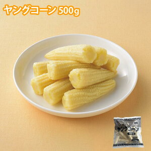 OR[ 500g Ɩp Ⓚ R[ Ƃ낱 ؗ T_ ʂ Ⓚ Jbg ܂ 