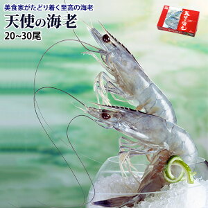 Vg̊CV 1kg(20`30)  Ε  v[g 蕨   Gr  ̓ ̓ Mtg
