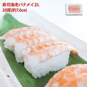 ⓀoiC{Ci 2LTCY 20 (7.6cm`8cm) CV  shrimp   hg  i_l iCV CN 炵i