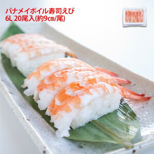 ⓀoiC{Ci 6L 20 (9.6cm`10cm) CV  shrimp   hg  i_l iCV CN Z ނ