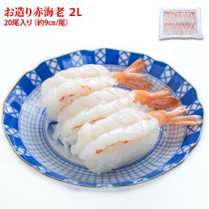 A[` Ԃ J 20 9cm`9.9cm XCX CV Gr il^ hg CN ԊCV H hg CN Gr 炵i